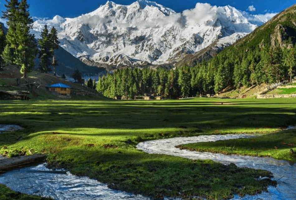 Fairy Meadows